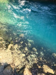 snorkeling in the sea