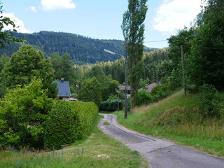 Fototapeta na wymiar A landscape from the Vosges department.