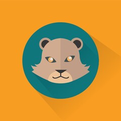 lioness