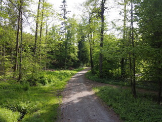 Fototapeta premium DCIM\100MEDIA\DJI_0344.JPG