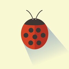 ladybird