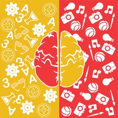 human brain