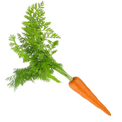 fresh orange carrot with leaves isolated on white