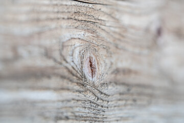 knotted wooden board close up