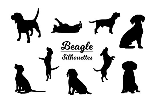 Beagle dog silhouettes