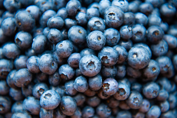 A bunch of freshly picked blueberries