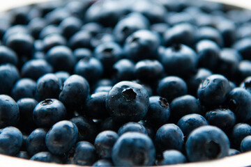 A bunch of freshly picked blueberries