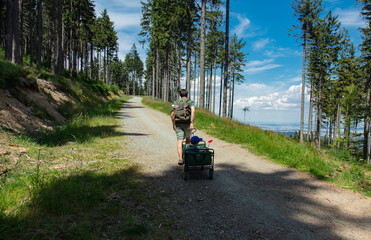 father with a child in stroller is walking along a forest road