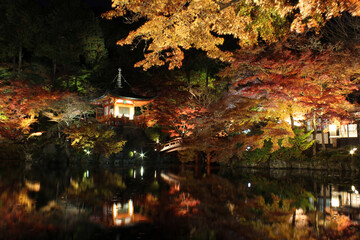 京都　醍醐寺の紅葉