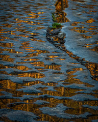 JayOBrien/JaynesGallery/DantaDelimont.com