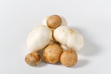 Fresh champignon mushrooms macro shoot. Close-up white and brown sliced champignon.