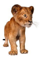 Fototapeta na wymiar 3D Rendering Lion Cub on White