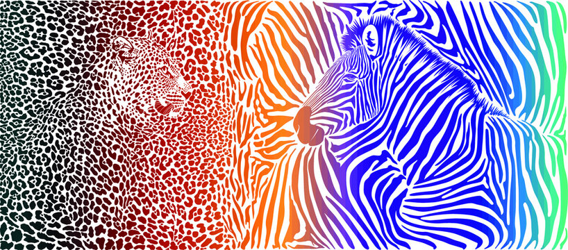 Animal background with motif wild zebra and leopard