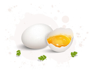 white fresh egg vector illustration with egg yolk