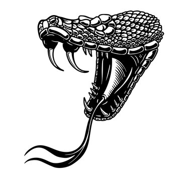 Illustration of poisonous snake head in engraving style. Design element for logo, label, sign, poster, t shirt.