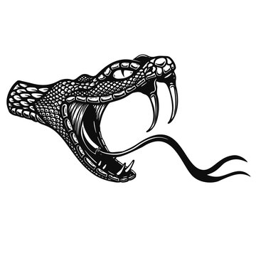Illustration of poisonous snake head in engraving style. Design element for logo, label, sign, poster, t shirt.