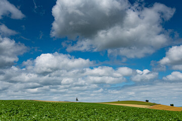 7月美瑛の夏空と広がる大地