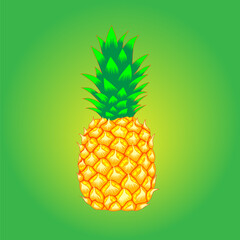 vector image of a pineapple