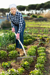 Slender female gardener with rake. High quality photo