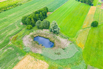 Aerial view of natural pond surrounded by pine trees. Europe