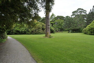 Gardens in Killarney national park, Ireland