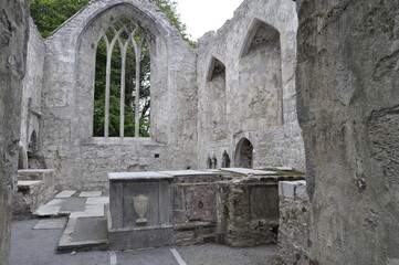 Fototapeta premium Muckross abbey, Ireland