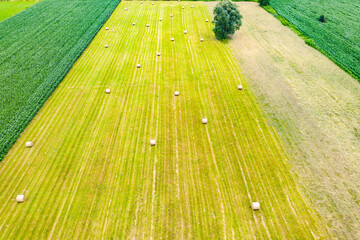 Aerial top view photo from flying drone of a land with sown green fields in countryside in spring...