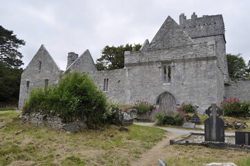 Muckross abbey, Ireland