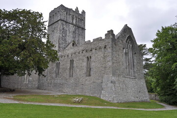 Fototapeta na wymiar Muckross abbey, Ireland