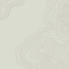 topographic map abstract height lines isolated on a beige background vector illustration