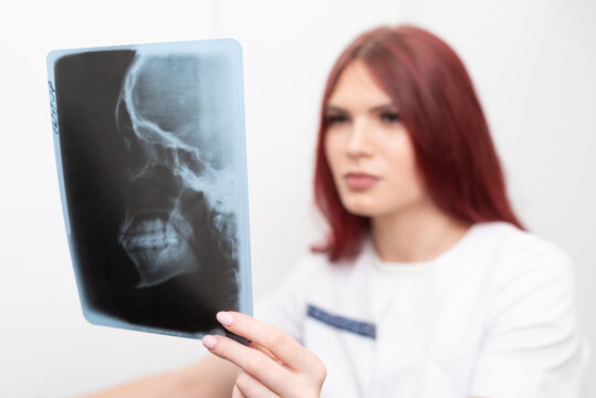 Dentist doctor checking dental x-ray orthopantomogram. Dental panoramic radiography