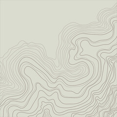 topographic map abstract height lines isolated on a beige background vector illustration