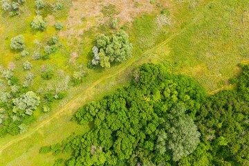 Country road through a forest and a green field in summer. Aerial view.