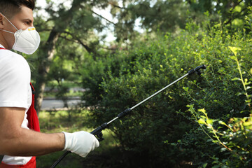 Worker spraying pesticide onto green bush outdoors. Pest control