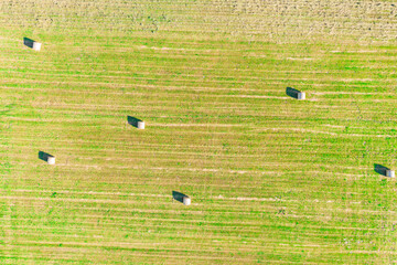 Aerial top view photo from flying drone of a land with sown green fields in countryside in spring...