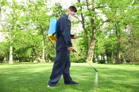 Worker Spraying Pesticide Onto Green Lawn Outdoors. Pest Control