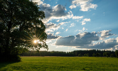 evening sun in fields and forests of southern Germany