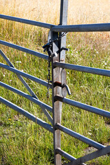 Locked metal framed farm gate to wheat crop field on the outskirts of West Tytherley village in...