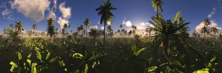 Tropical jungle in the fog. Palms in the morning. 3D rendering