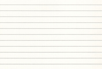 Blank lined notebook paper background. Extra large highly detailed image.