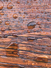 legno bagnato
