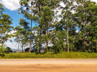 Road and trees near Belo Horizonte city in Brazi