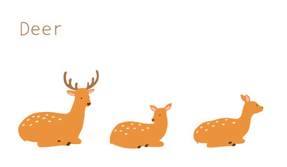 くつろぐ鹿　イラスト