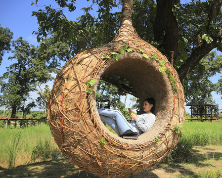 Beautiful Woman Hiding In An Empty Bird's Nest