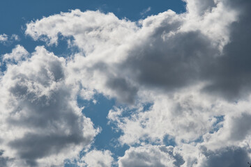 Naklejka na ściany i meble blue sky with clouds in the netherlands