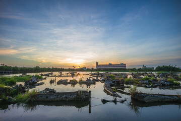 Fototapeta premium timber pond of Luodong Forestry Culture Park in Yilan, Taiwan