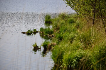 Grundloser see, Walsrode, Niedersachsen