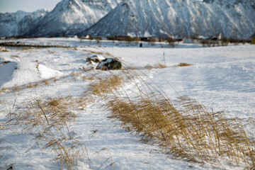 Lofoten im Winter - Norwegens Norden