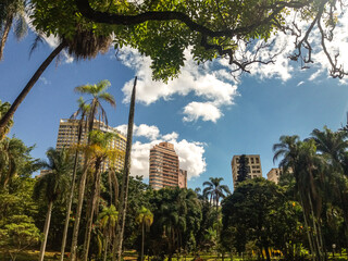 Fototapeta na wymiar Beautiful central park at city of Belo Horizonte in Brazil.