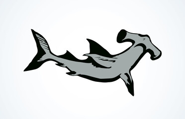 Fototapeta premium Seaweed. Vector drawing